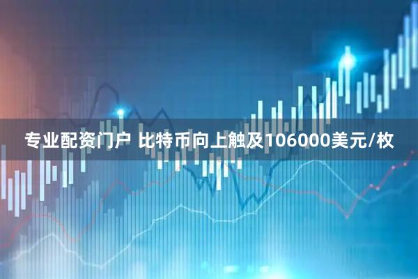专业配资门户 比特币向上触及106000美元/枚
